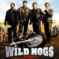 okladka_inne_wildhogs