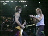 11426