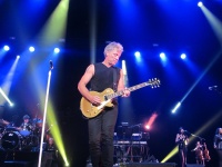 16338