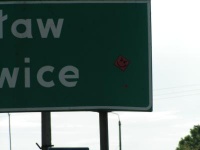 4448